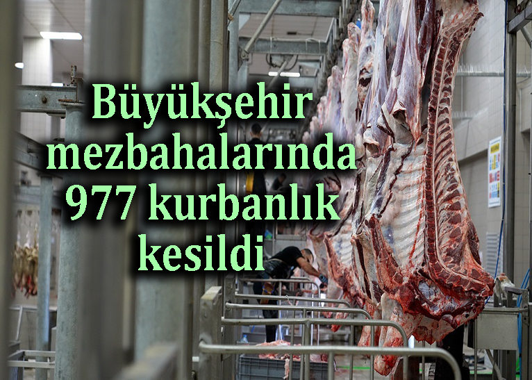 Kesimler veteriner hekim kontrolünde yapıldı
