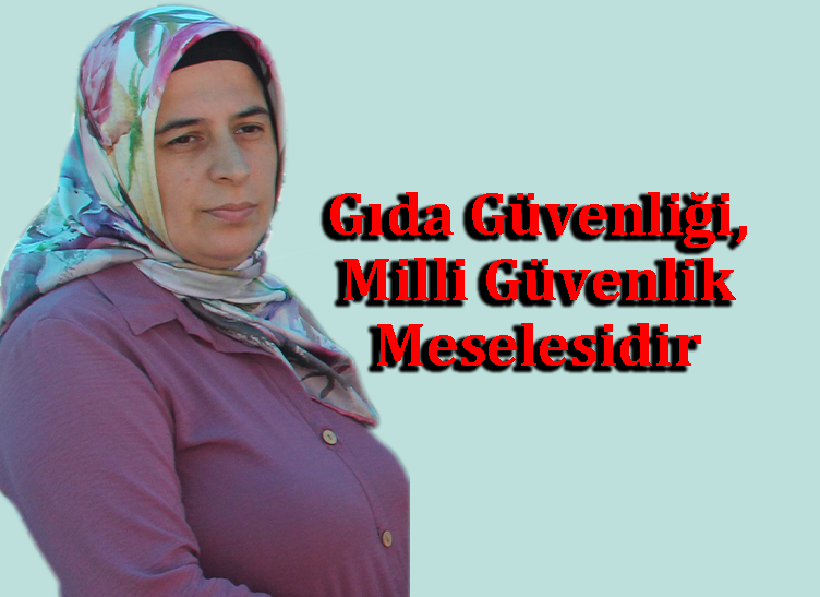 Denetimler Caydırıcı Olmalı